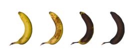 Padangos nepernoksta kaip bananai – kiek ilgai galima saugoti naujas padangas?
